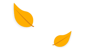 feuilles