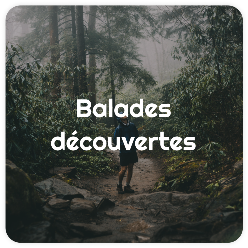 balades-decouvertes