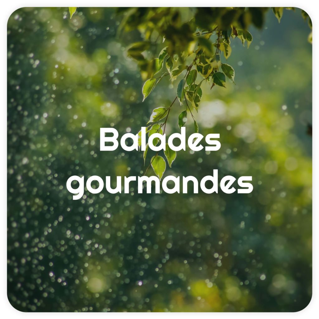 balades-gourmandes