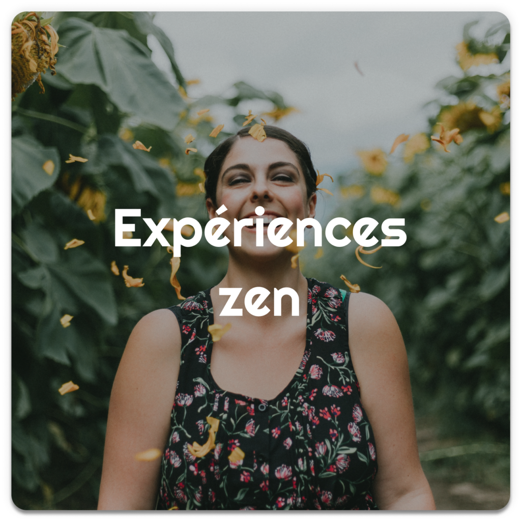 experience-zen