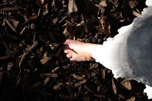 Marcher son chemin de lumière Marcher son chemin de lumière
